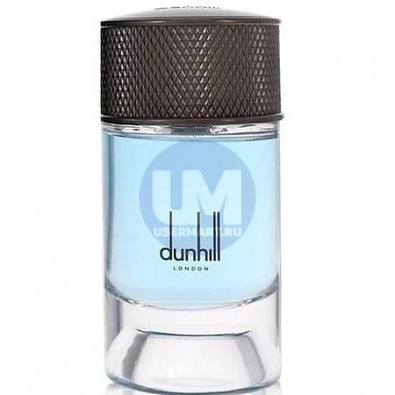 Dunhill Nordic Fougere парфюмерная вода 100 мл тестер