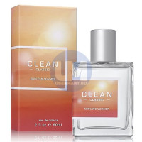 Clean Endless Summer туалетная вода 60 мл тестер