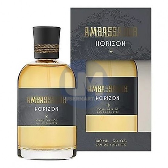Parfums Genty Ambassador Horizon туалетная вода 100 мл